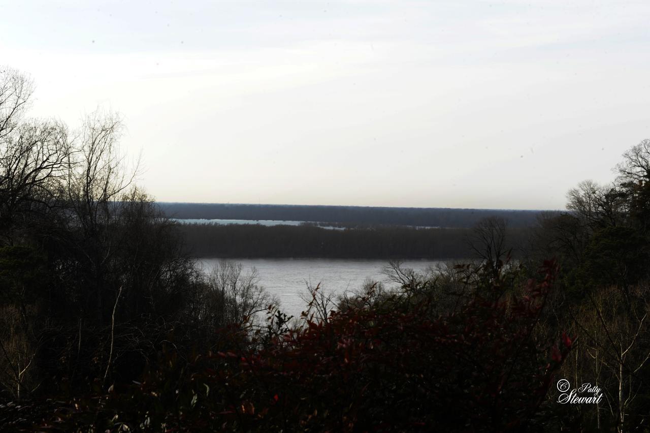 Clermont Bluffs Bed & Breakfast Natchez Kültér fotó