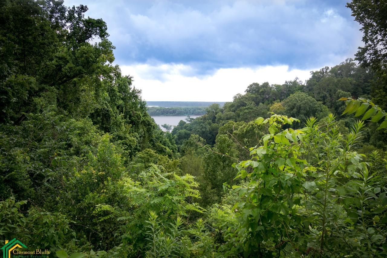 Clermont Bluffs Bed & Breakfast Natchez Kültér fotó